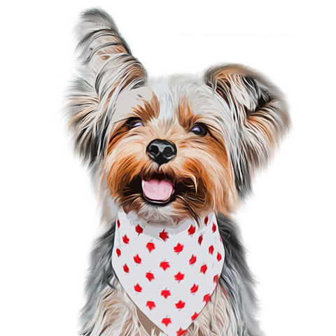 Image of diamond painting of a happy Yorkshire Terrier dog