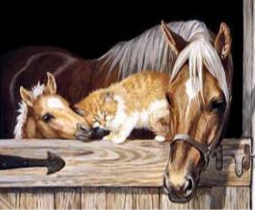 Image of Diamond painting kit: Horse and kitten looking out from a stable door.
