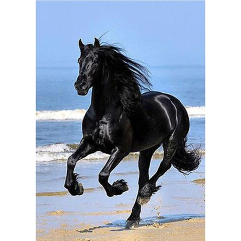 Image of Diamond painting of a black horse gallops across a beach, kicking up sand as the waves roll in.