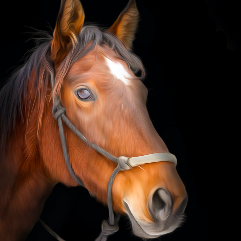 Diamond painting of a close-up portrait of a horse's head