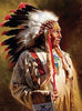 diamond painting of a Native American ancestor