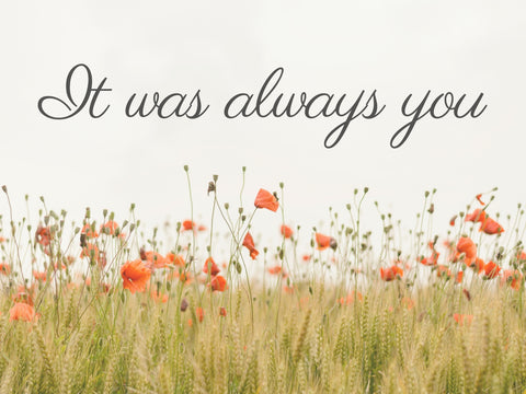 Image of diamond painting with the quote "It was always you" and a field of poppies