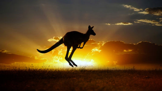 diamond painting of a kangaroo jumping in front of a sunset