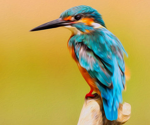 Image of diamond painting of a common kingfisher bird