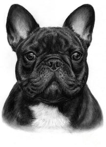 Diamond painting kit featuring a black and white French bulldog