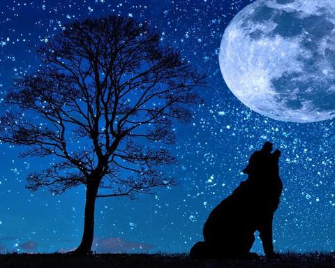Image of DIY diamond art featuring a majestic wolf howling at the moon under a starry night sky.