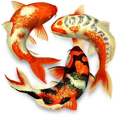 Image of diamond painting of colorful koi fish swimming