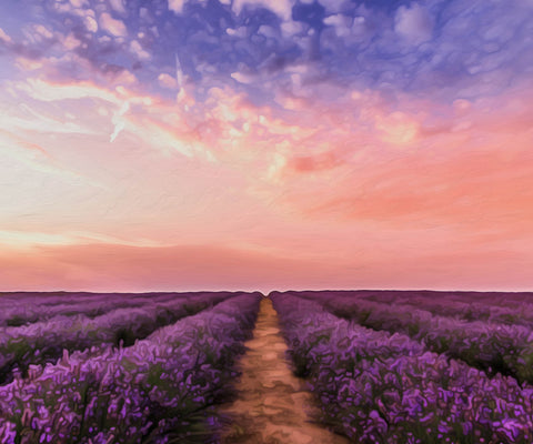 Image of diamond painting of a lavender field at sunset