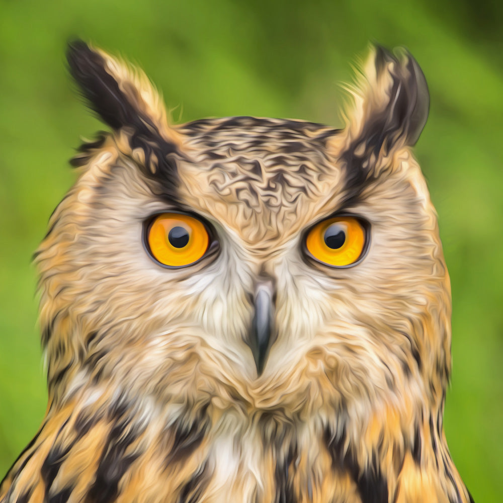 Diamond painting of a long-eared owl with brown and white feathers