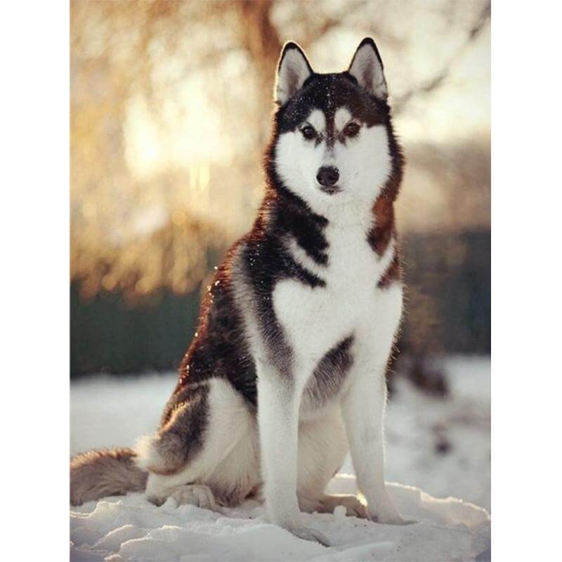Diamond painting of a majestic snow wolf