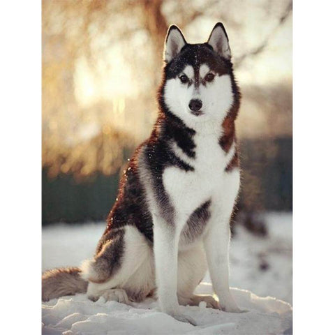 Image of Diamond painting of a majestic snow wolf