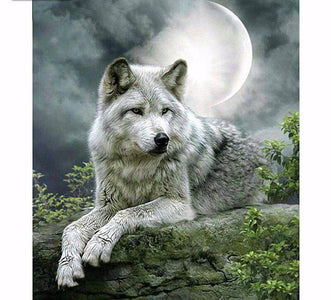 A solitary wolf sits regally on a rock, bathed in the light of a full moon.