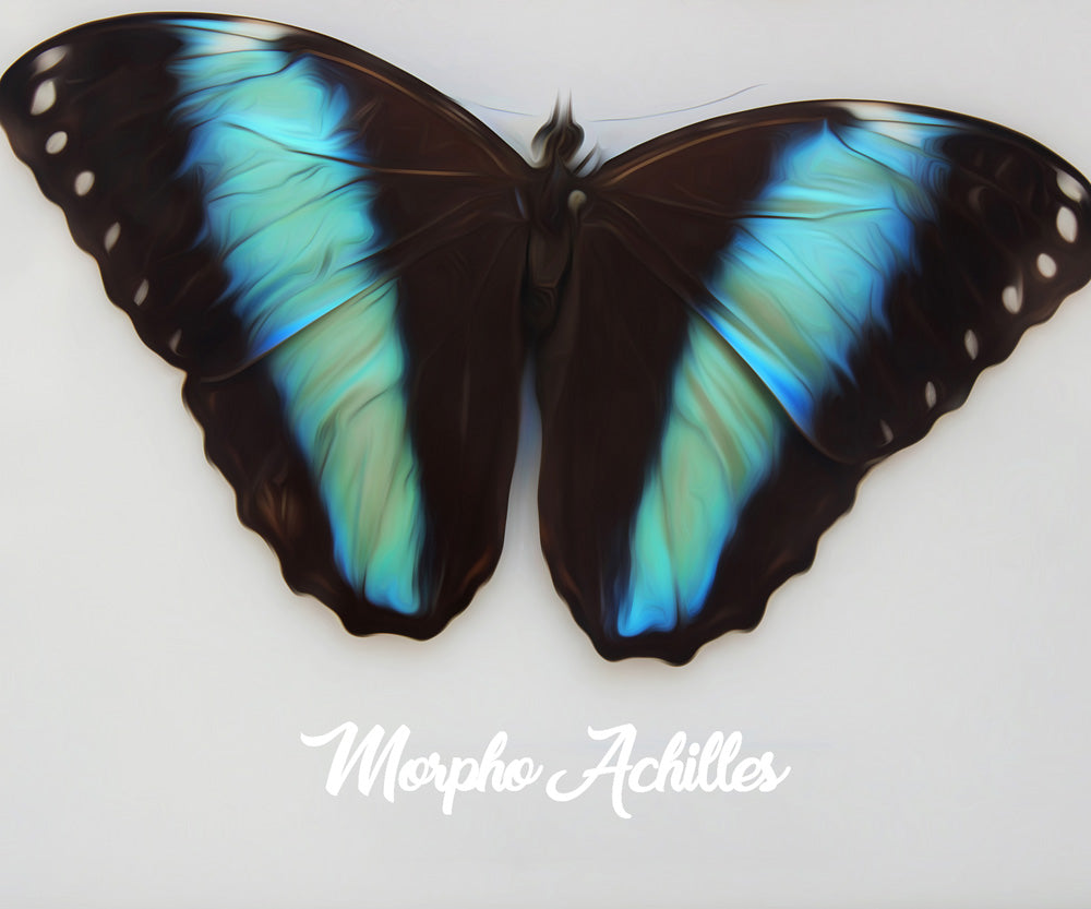 diamond painting of a blue morpho butterfly