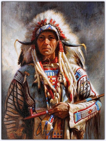 Image of diamond painting of a Native American person in traditional attire