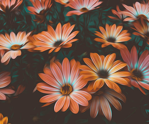 Image of diamond painting of orange Osteospermum flowers