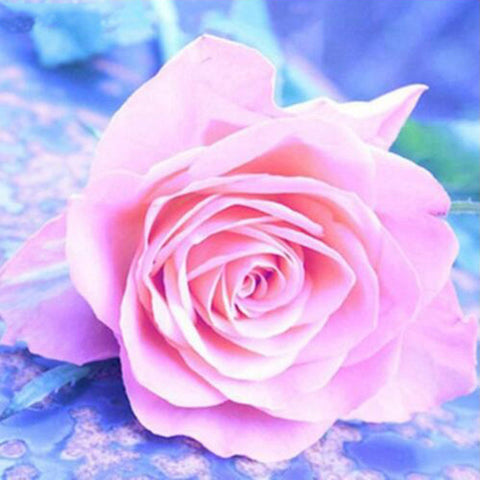 Image of diamond painting of a pink rose