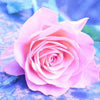 diamond painting of a pink rose