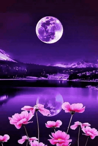 Image of diamond painting of a purple moon reflecting on a lake with flowers