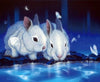 diamond painting of two rabbits in a magical scene