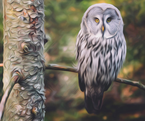 Image of Diamond painting of a guarding owl perched on a branch of tree