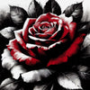 Diamond painting of a red rose with black petals and leaves