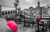 iamond painting: Red bouquet of flowers on a table with a pink umbrella on a black and white background.