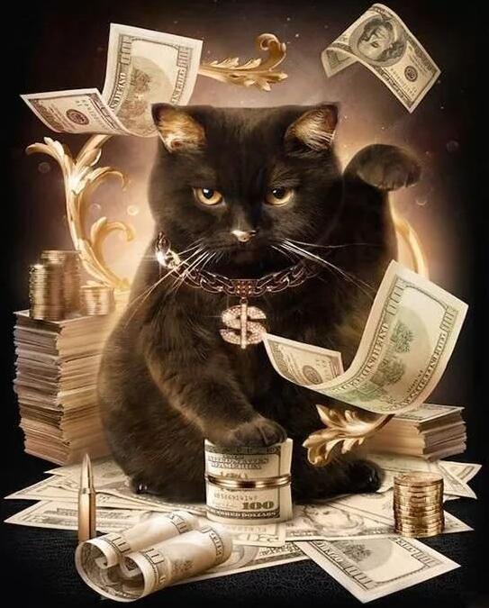 diamond painting of a rich cat surrounded by money