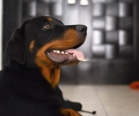 Image of diamond painting of a Rottweiler dog