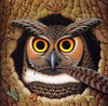 Diamond painting of a scholarly owl wearing glasses