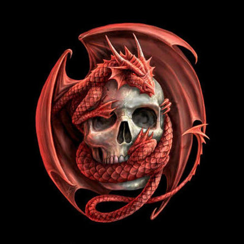 Image of Diamond painting of a red dragon wrapped around a mysterious skull.