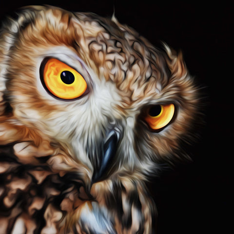 Image of Diamond painting of a starting owl