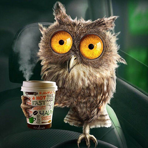 Image of Diamond painting of a surprised owl holding a coffee cup.