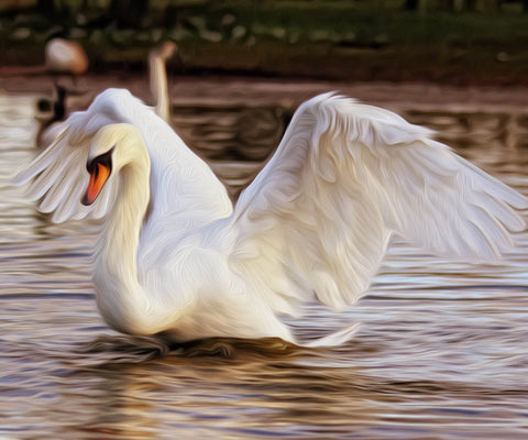 Image of diamond painting of a white swan flapping its wings on a lake