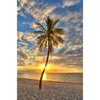 Diamond painting of a vibrant tropical beach at sunset. Palm trees sway gently in the breeze, casting long shadows on the sandy shore. The sky is ablaze with fiery orange, and purple hues.