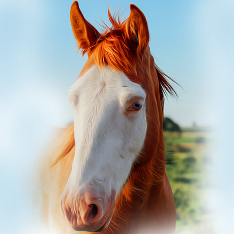 Image of Diamond painting of a beautiful brown horse with white spots