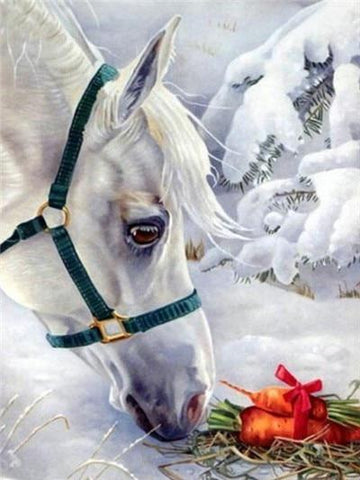 Image of White horse eating carrot, winter scene.