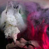 Diamond painting depicting a woman encountering a spectral wolf formed from smoke.
