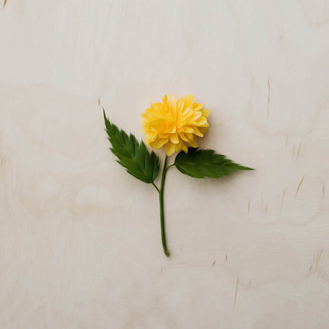 Image of diamond painting of a single yellow dahlia flower