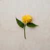 diamond painting of a single yellow dahlia flower