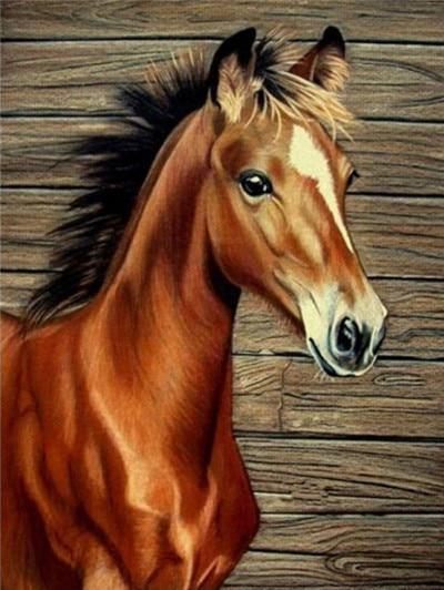Diamond painting of a curious young brown horse standing in front of a wooden ranch fence.
