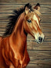 Diamond painting of a curious young brown horse standing in front of a wooden ranch fence.