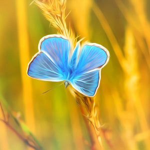 Diamond painting of a vibrant neon blue butterfly