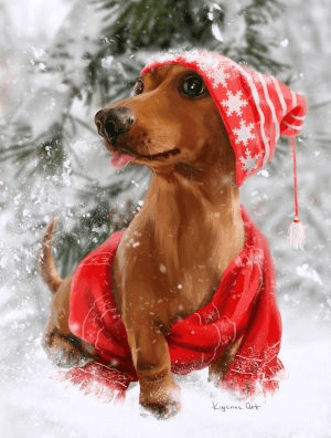 Image of Dachshund in Christmas Sweater and Hat