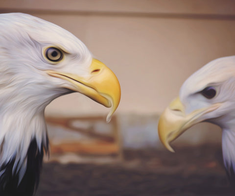 Image of Diamond painting of two eagles facing each other, showcasing their sharp beaks and intense eyes