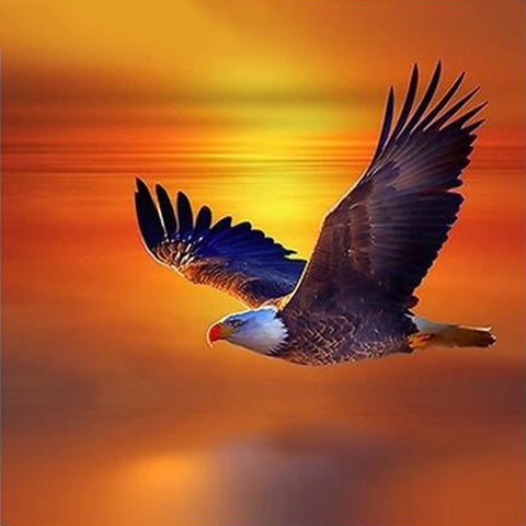 Image of A majestic eagle soars through the sky against a vibrant sunset backdrop.