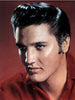 Diamond painting portrait of Elvis Presley in profile.