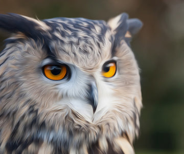 Diamond Painting of a Eurasian Eagle-Owl with Intense Stare