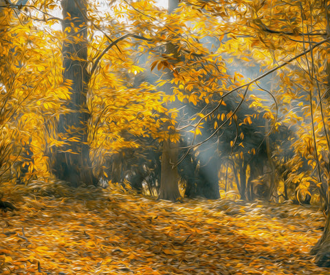 Image of Diamond painting featuring a vibrant fall scene with colorful foliage.