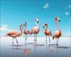 A diamond painting of a flock of pink flamingos standing in shallow water.