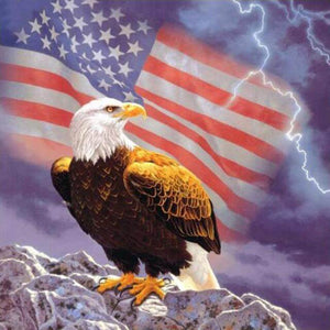 Diamond painting of a bald eagle landing on a rock, with the American flag waving in the background.